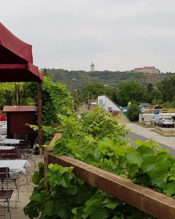 WeinGalerie im Schweigenberg Cafe